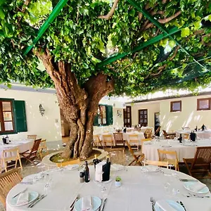 https://antica-locanda-al-gelso.hotelslidodijesolo.com